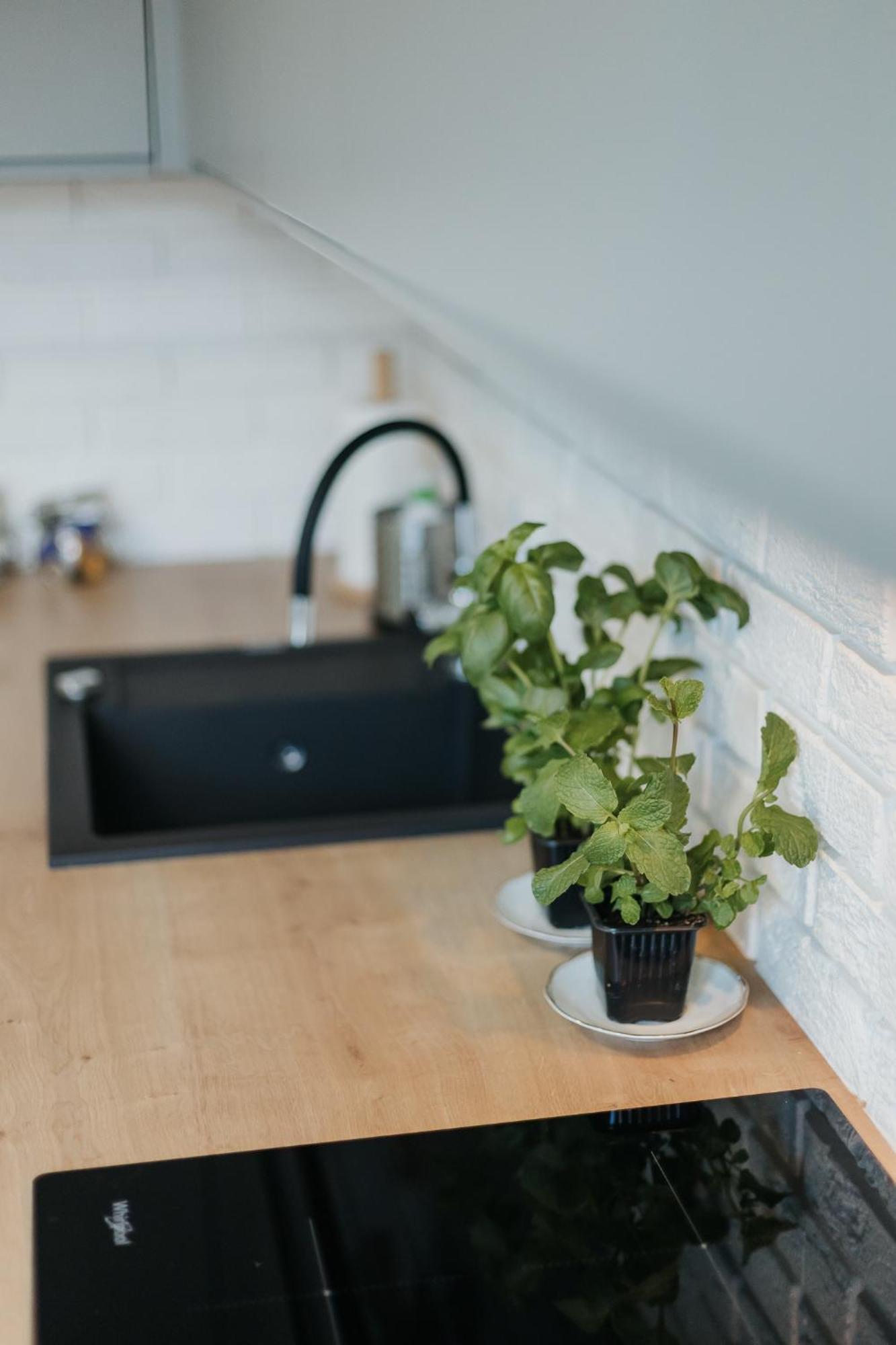 Connecta In Center With Ac Apartament *