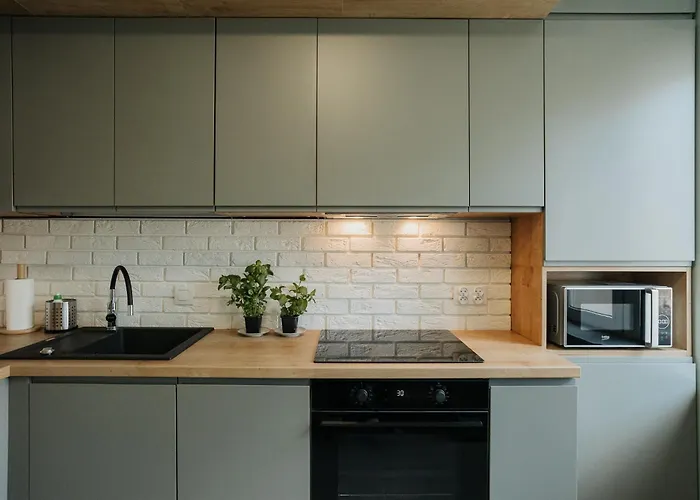 Connecta Apartament In City Center With Ac